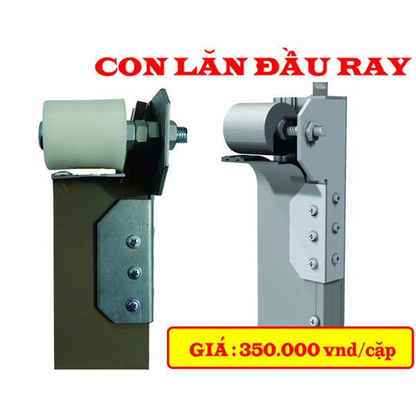 Con lắn đầu ray